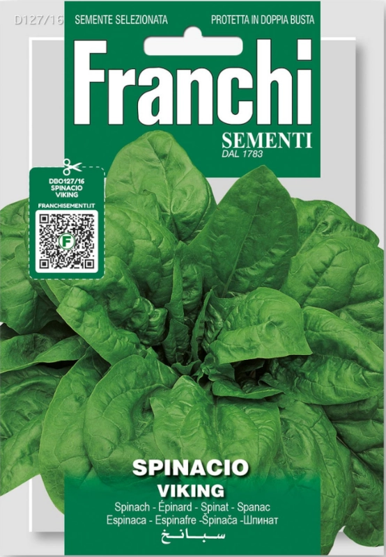 Szpinak Viking nasiona 15g FRANCHI sklep rajogrodnika